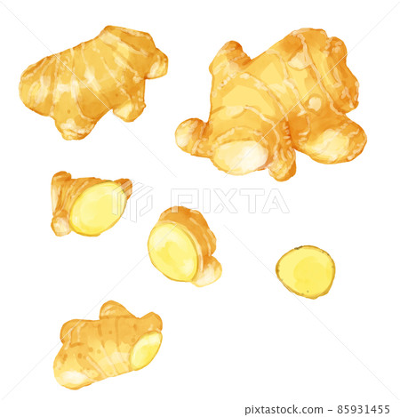 手繪水彩姜插圖集 手繪水彩姜插圖集 85931455