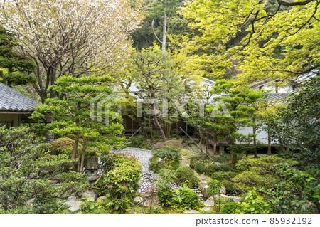 Spring at Honen-in Temple in Kyoto 85932192