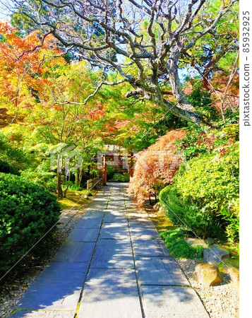 Autumn leaves of a hospital visit Autumn leaves of a hospital visit 85932925