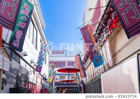 "Tokyo" Taito-ku, Asakusa Kibakan Mass Theater "Tokyo" Taito-ku, Asakusa Kibakan Mass Theater 85933714