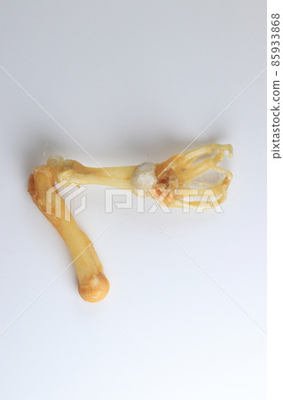 Studying about skeletons frog bones in a laboratory. 85933868