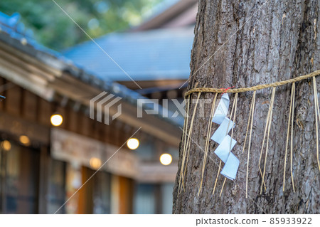 二宮神社三上木 二宮神社三上木 85933922