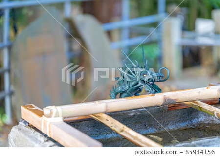 Ninomiya Shrine Chozuya Dragon Ninomiya Shrine Chozuya Dragon 85934156