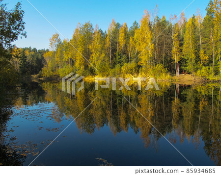 Autumn forest with a beautiful lake in sunny day. Bright colorful trees reflected in calm water with fallen leaves 85934685