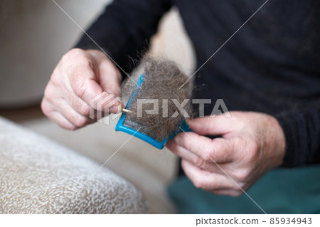 A man's hand holding the cat comb brush with gray fur. 85934943