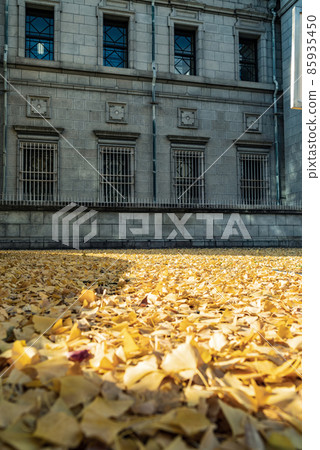 Autumn in the old building of the Bank of Japan, Osaka Branch, Nakanoshima, Osaka Autumn in the old building of the Bank of Japan, Osaka Branch, Nakanoshima, Osaka 85935450