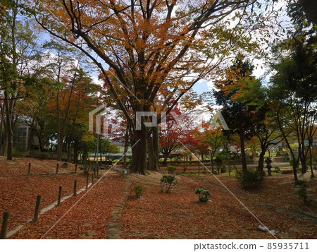 Momijiyama Park (Fukushima City, Fukushima Prefecture) Momijiyama Park (Fukushima City, Fukushima Prefecture) 85935711