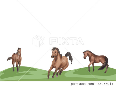 Jockey on horse. Black horse Jumping. Equestrian Events. Show Jumping Competition. Watercolor painting illustration isolated on frame white background 85936013