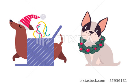 Cute Dogs of Different Breed with Advent Wreath and Walking Through Gift Box Vector Set 85936181