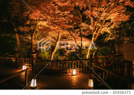 Lighted-up Japanese garden 85936371