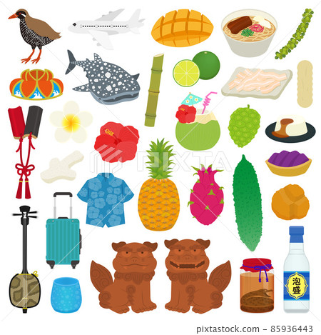 Okinawa illustration set Okinawa illustration set 85936443