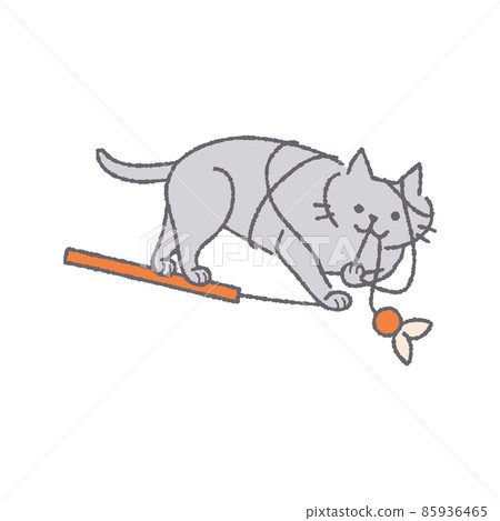 Cat playing with toys Cat playing with toys 85936465