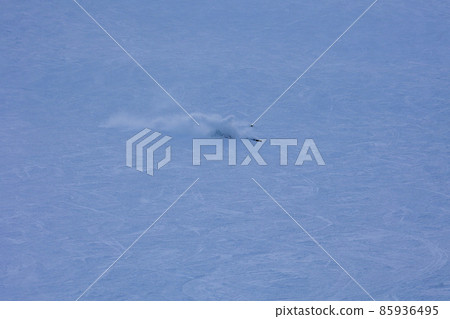 Skiing moss Skiing moss 85936495