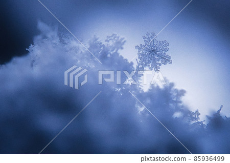 雪花 雪花 85936499