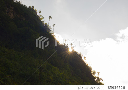 Doi Luang Chiang Dao 85936526