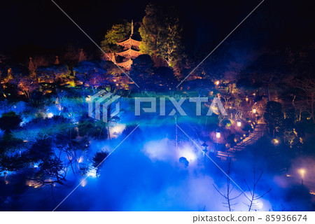 Lighted-up Japanese garden Lighted-up Japanese garden 85936674