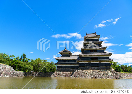 [長野縣松本市]國寶松本城 85937088
