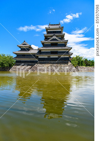 [長野縣松本市]國寶松本城 85937098