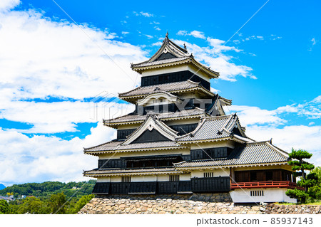 [長野縣松本市]國寶松本城 85937143