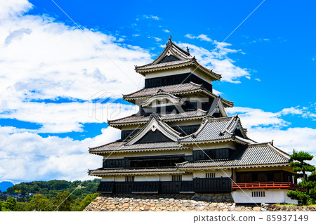 [長野縣松本市]國寶松本城 85937149