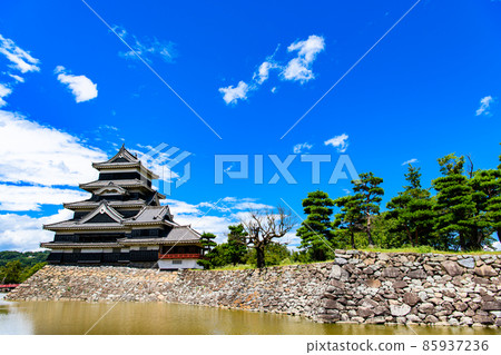[長野縣松本市]國寶松本城 85937236