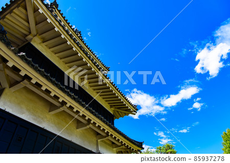 [Matsumoto City, Nagano Prefecture] National treasure Matsumoto Castle 85937278