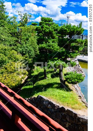 [長野縣松本市]國寶松本城 85937293