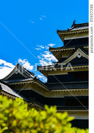 [長野縣松本市]國寶松本城 85937298