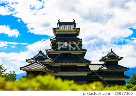 [Matsumoto City, Nagano Prefecture] National treasure Matsumoto Castle 85937306