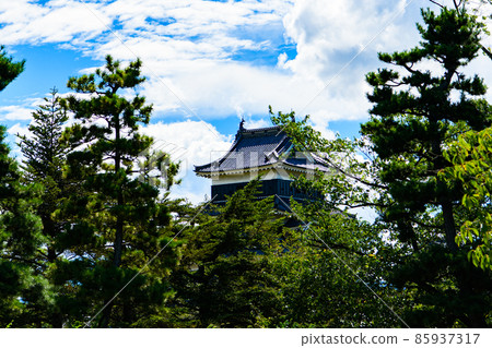 [Matsumoto City, Nagano Prefecture] National treasure Matsumoto Castle 85937317