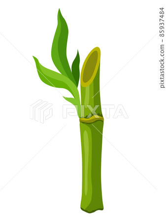 Illustration of green bamboo stem and leaves. Decorative exotic plants of tropic jungle. Illustration of green bamboo stem and leaves. Decorative exotic plants of tropic jungle. 85937484