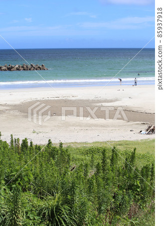 伊勢國府之濱 Meotoiwa Anori 漁港 上地大壩 渡鹿野島 85937918