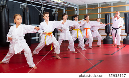 Schoolchilds practicing new technique in karate class Schoolchilds practicing new technique in karate class 85938117