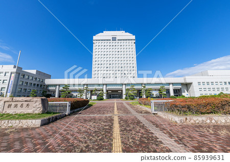 Niigata City, Niigata Prefecture, Niigata Prefectural Office in fine weather Niigata City, Niigata Prefecture, Niigata Prefectural Office in fine weather 85939631