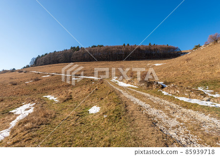 Footpath and Beech Forest on Lessinia High Plateau - Veneto Italy 85939718