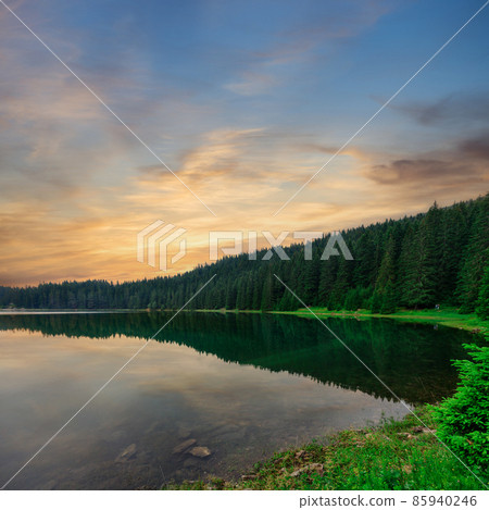 Landscape view of black lake or Crno jezero in Durmitor nature park, Montenegro 85940246