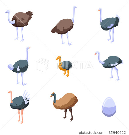 Ostrich icons set, isometric style 85940622