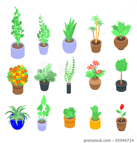 Houseplants icons set, isometric style 85940724