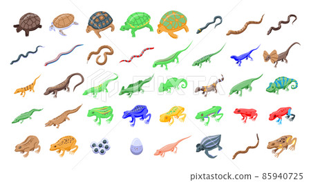 Reptiles and amphibians icons set, isometric style 85940725