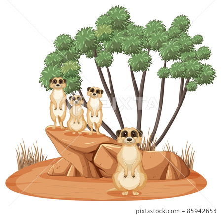 Isolated nature scene with meerkat family - Stock Illustration [85942653] -  PIXTA