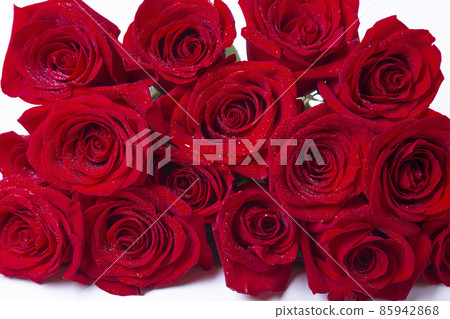 Bouquet of red (burgundy) roses on a white background. Water drops. Close-up. 85942868