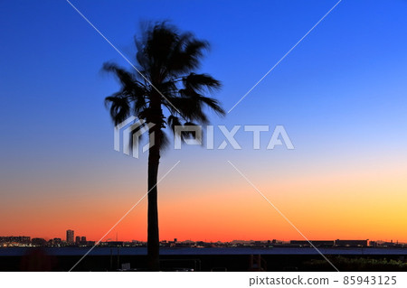 Sunrise seen from Urayasu 85943125