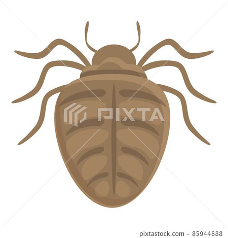 Bug icon cartoon vector. Insect beetle Bug icon cartoon vector. Insect beetle 85944888
