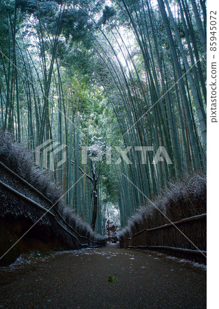 Small diameter of bamboo grove in Sagano and Arashiyama where snow accumulates 85945072