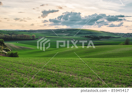 Rural spring landscape 85945417