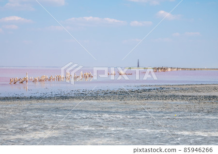 A beautiful salt lake with pink water. 85946266