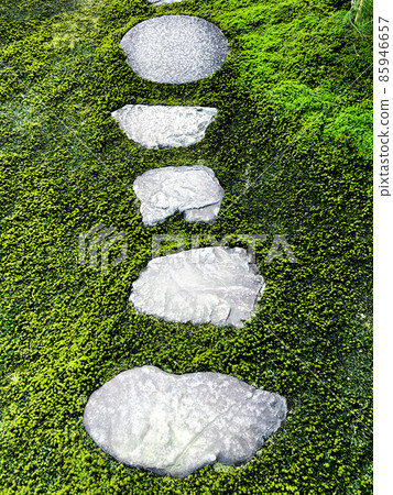 苔蘚中的石板路 85946657