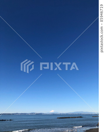 Blue sky, Mt. Fuji, sea and black-tailed gull 85946719
