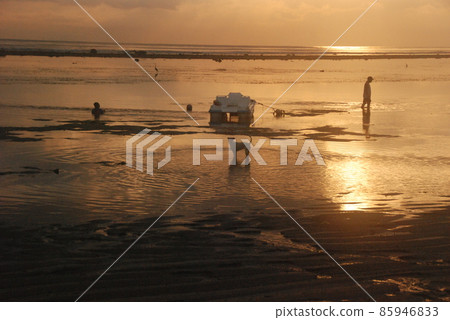 黎明海灘，人和狗（沙努爾/巴厘島，印度尼西亞） 85946833