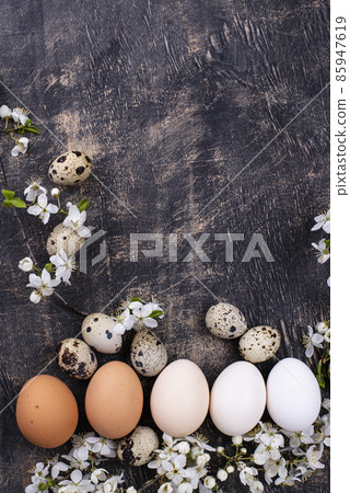 Chicken eggs gradient from light to dark 85947619